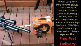 Skuqqgycqjjs300pb0nlv1 Air Riffle Pros 12v/110v 4500psi/30mpa Compressor For Paintball Scuba Tank Pcp Rifle