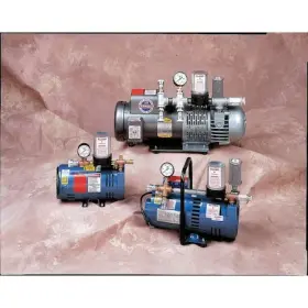 Allegro Industries 741851985008 9850 With 1/4 Schrader Air Driven Pump To 15 Psi
