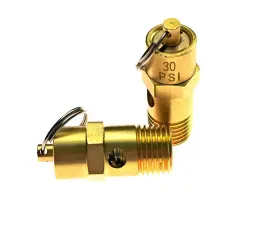 Atvmoto 797387372010 30 Psi 1/4 Inch Npt Pressure Relief Valve Air Compressure 2 Packs Atvmoto 797387372010 30 Psi 1/4 Inch Npt Pressure Relief Valve Air Compressure 2 Packs