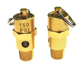 Atvmoto 797387373970 150 Psi 1/8 Inch Npt 150psi Valve Pressure Re