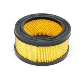 5140153-49-2 Dewalt 5140153-49 Oem Air Compressor Filter Element 2 Pack