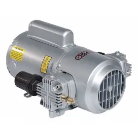 Gast 3hbb-10-m300ax Standard Piston Pump