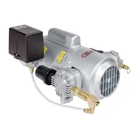 6lcf-246s-m616nex Gast Piston Air Compressor 1hp 115/230v 1ph