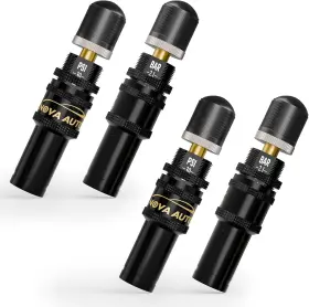 Xyf-p01 Nova Auto 4pcs Tire Deflator 10-30 Psi Adjustable Auto-stop Deflators Offroad Access