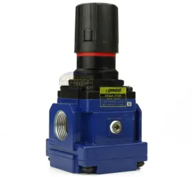 Tr205 Prevost 1 Inch Female Npt Compressed Air In Line Regulator 225 Max Psi 212 Scfm