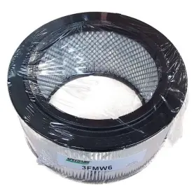 3fmw6 Speedaire Air Filter For 25 To 50 Hp