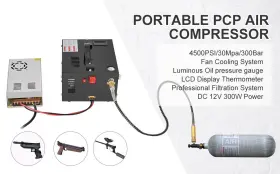 Taishi Ts3022082601 Pcp Air Compressor 4500psi/30mpa Manual-stop With Built-in Fan 12v/110v/220v
