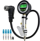 Digital Bicycle Tire Inflator Gauge Auto-select Presta And Schrader Valve New. Price: $55.71.