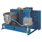 Jenny F12S-BS-115/1-ACGF Fire Sprinkler Air Compressor, 1/2 Hp New. Price: $1638.99.