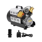 Pcp Air Compressor, Double Cylinder 4500 Psi -110/220V, Scuba ... New. Price: $380.97.