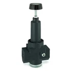 Wilkerson R30-08-000 Air Regulator, 1 In. Npt, 500 Cfm, 300 Psi New. Price: $150.99.