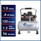 California Air Tools 8010 Gal Steel Oil-free Portable 1.0HP 120 Psi 110V New. Price: $95.00.