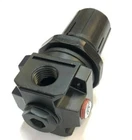 D27253 100000275 1/4'' Fpt In & Out 1/8'' Gauge Port Heavy Duty Regulator New. Price: $21.69.