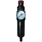 Reading Technologies FR250-G Filter/regulator, 1/4 Inlet/outlet, 30 Scfm, New. Price: $63.80.